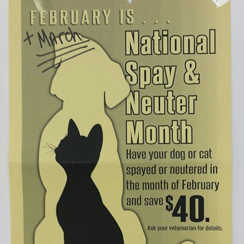 Riverdale Animal Hospital - Riverdale , United States