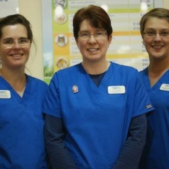 Companion Care Bolton Horwich - Bolton , United Kingdom