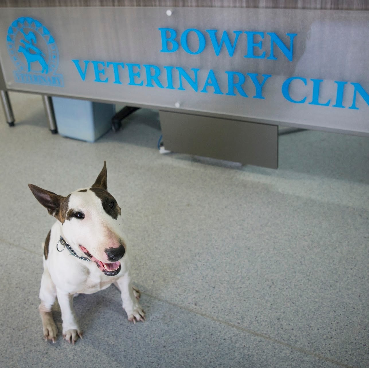 Bowen Vet Clinic - Bowen , Australia