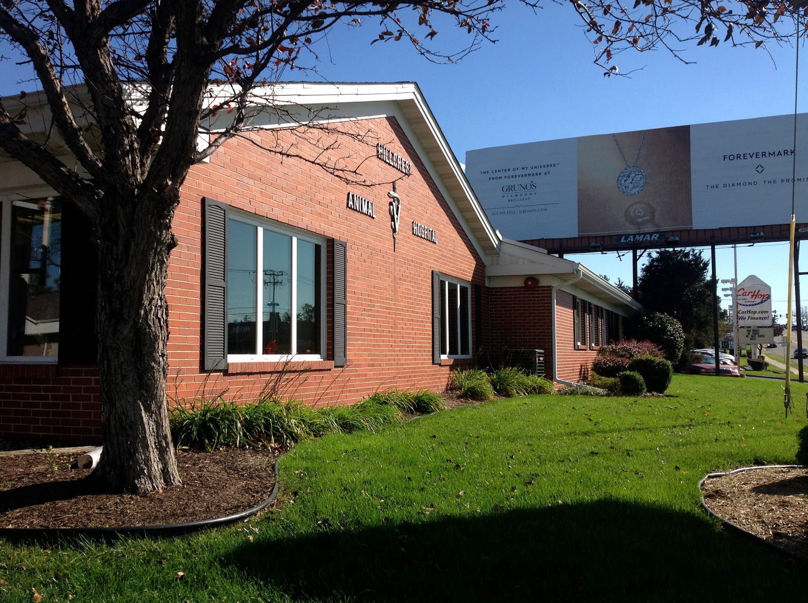 Hillcrest Animal Hospital - Rockford , United States