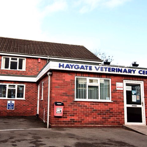 Haygate Veterinary Centre Wellington - Telford , United Kingdom