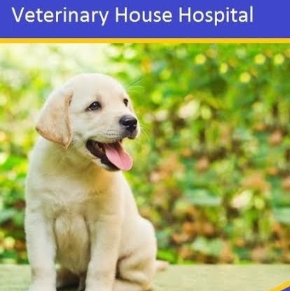 Veterinary House Townbush - Pietermaritzburg , South Africa