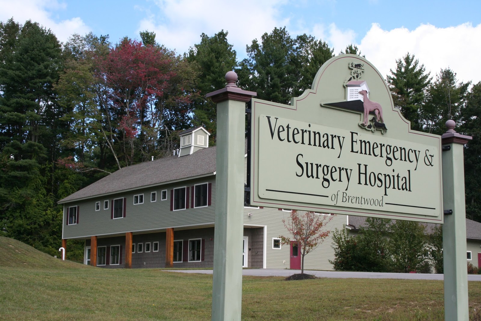 Veterinary Emergency And Surgery Hospital - Brentwood , United States