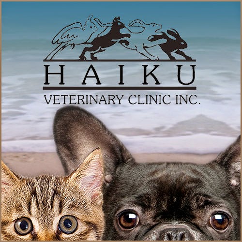 Haiku Veterinary Clinic - Kaneohe , United States