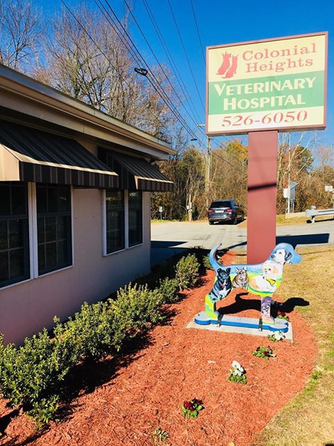 Colonial Heights Veterinary Hospital - Colonial Heights , United States