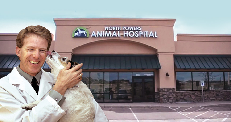 North Powers Animal Hospital - Colorado Springs , United States