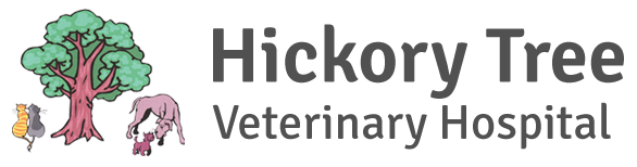 Hickory Tree Veterinary Hospital - Winston-Salem , United States