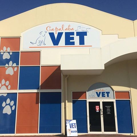 Capalaba Veterinary Clinic - Capalaba , Australia