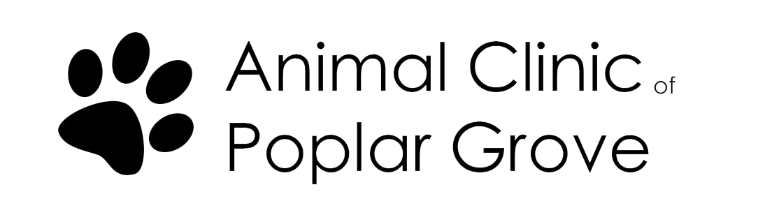 Grove Animal Clinic Of Poplar - Poplar Grove , United States