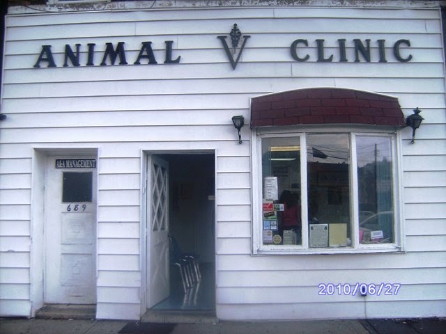Animal Clinic Of Bay Ridge - Brooklyn , United States