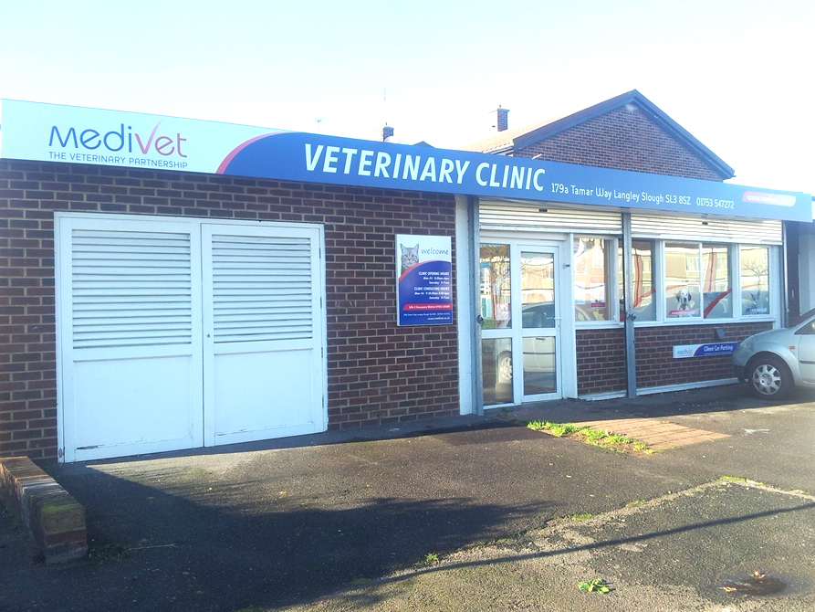 Medivet Langley - Slough , United Kingdom