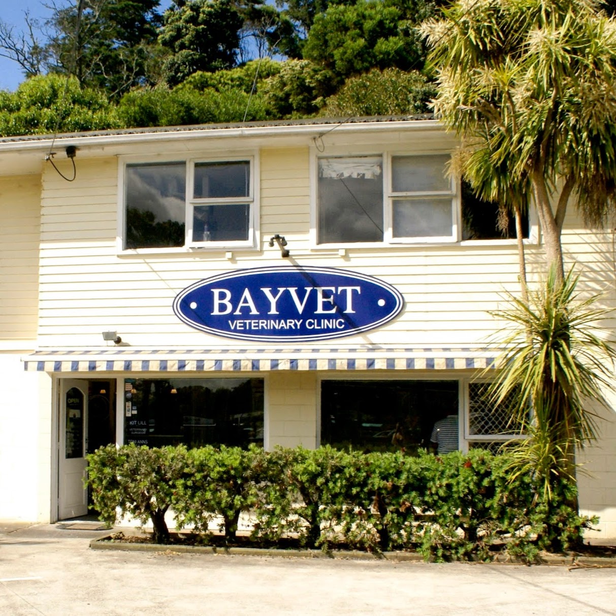 Bayvet Veterinary Clinic - Albany , New Zealand
