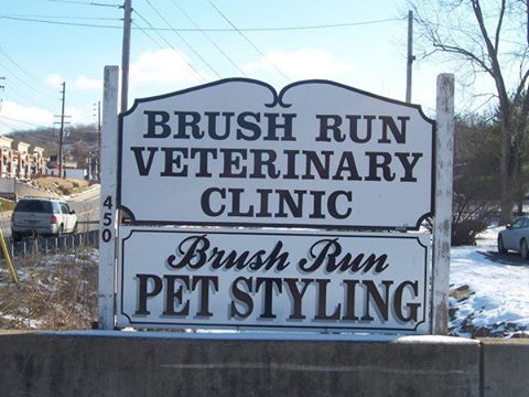 Brush Run Veterinary Clinic - McMurray , United States