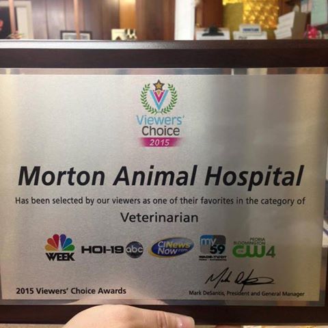 Morton Animal Hospital - Morton , United States