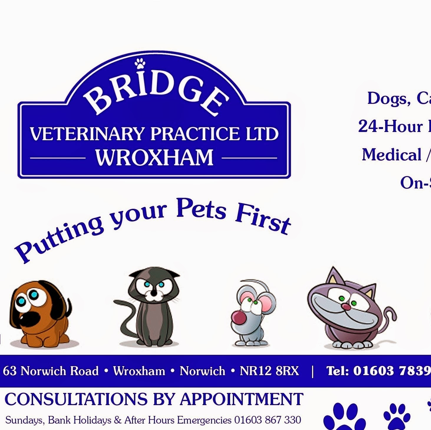 Bridge Veterinary Surgery - Norwich , United Kingdom