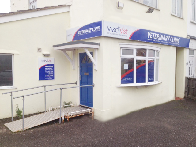 Medivet Brockham - Betchworth , United Kingdom