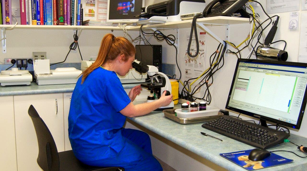 Our Vet Maribyrnong - Maribyrnong , Australia