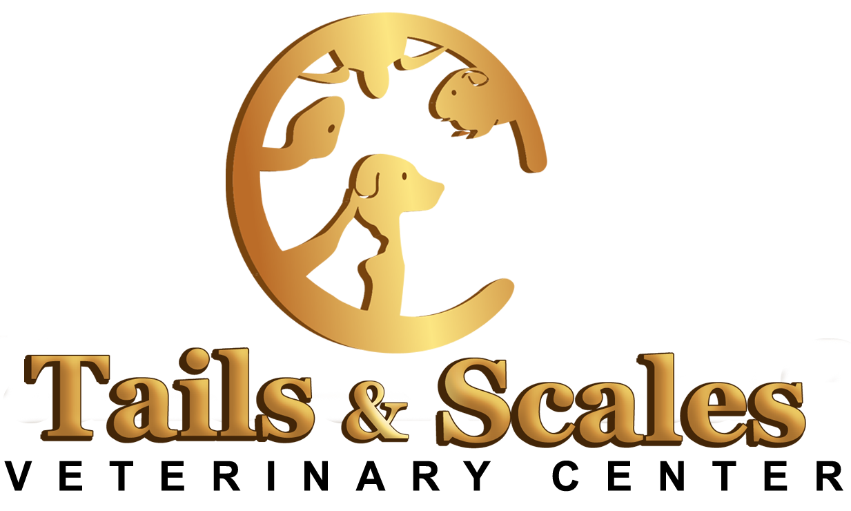 Tails & Scales Veterinary Center - Hyattsville , United States