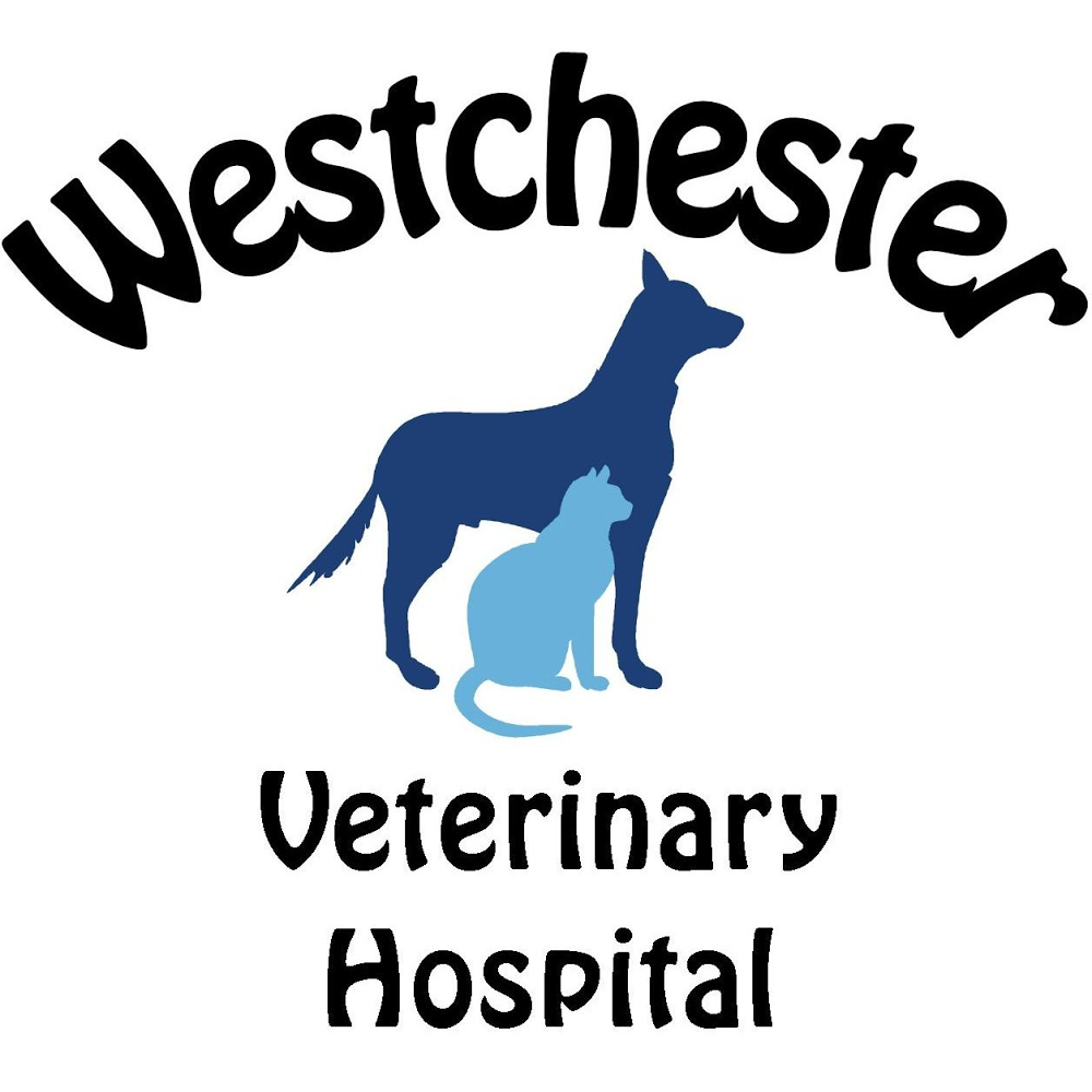 Westchester Veterinary Hospital - High Point , United States