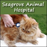 Seagrove Animal Hospital - Asheboro , United States