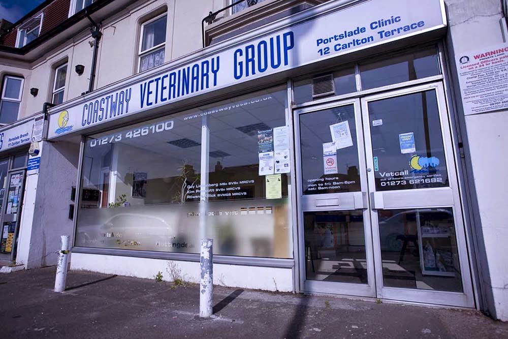 Coastway Vets Portslade - Brighton , United Kingdom