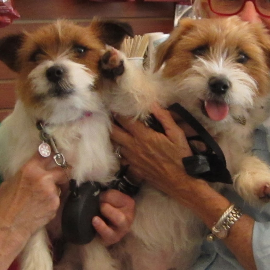 Pet Care Veterinary Hospital - Virginia Beach , United States