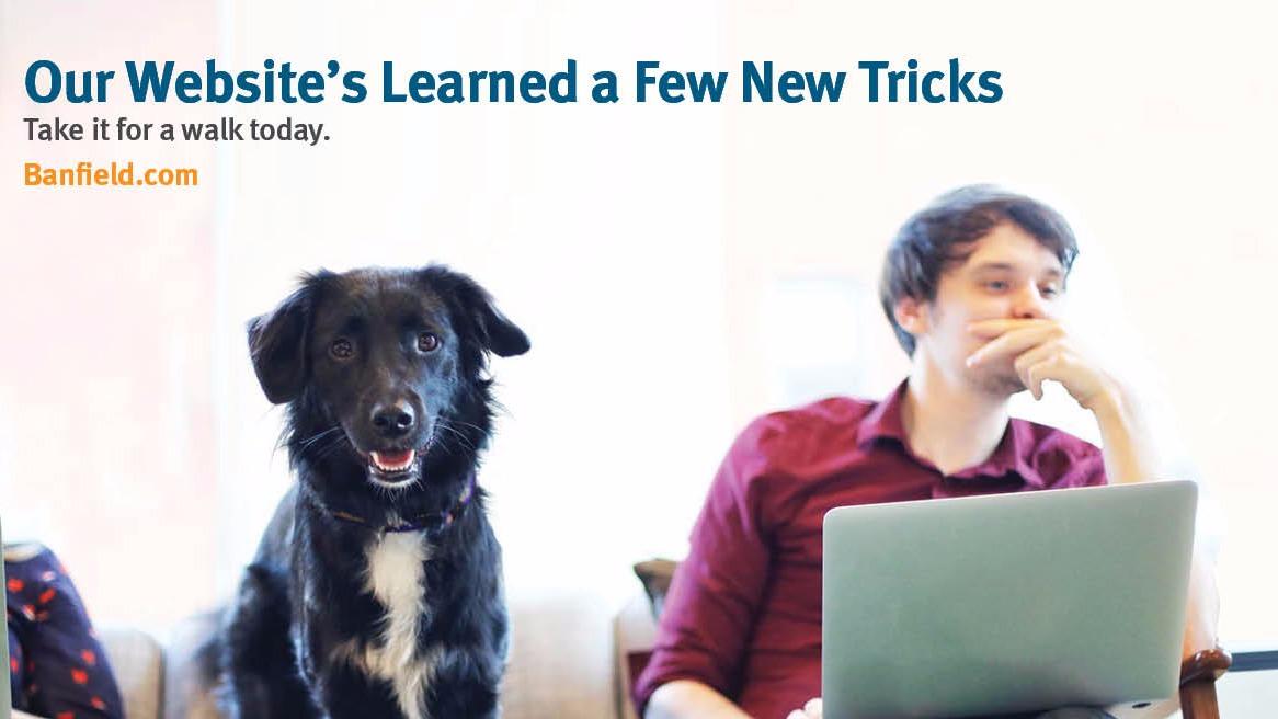 Banfield Pet Hospital - Greensboro , United States