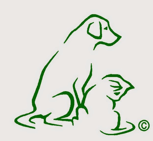 Yorkwood Veterinary Clinic - Keswick , Canada