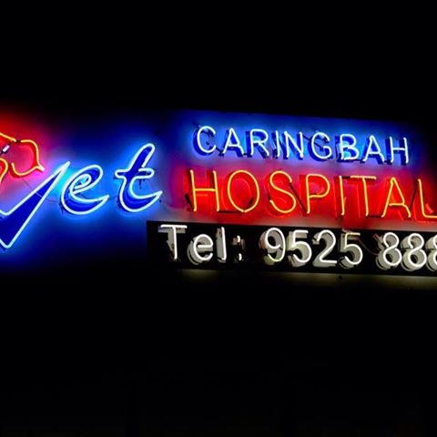 Caringbah Veterinary Hospital - Caringbah , Australia