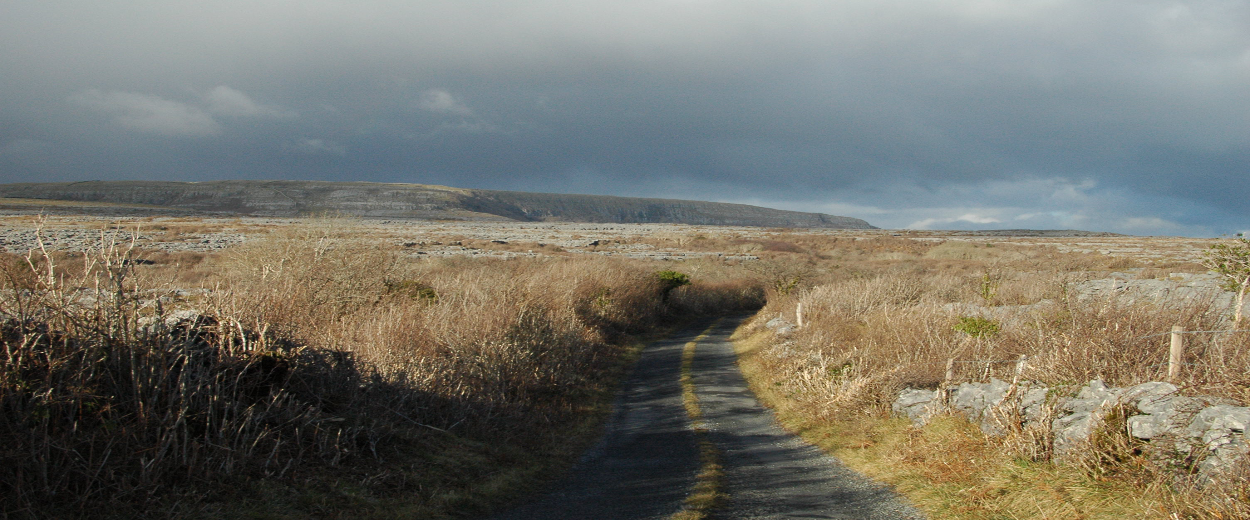Burren Vets - Miltown Malbay , Ireland