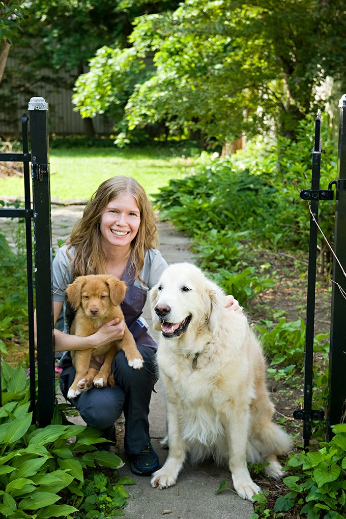 Main Street Veterinary Services - London , Canada