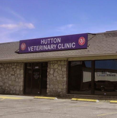 Southside Veterinary Clinic - Wichita , United States