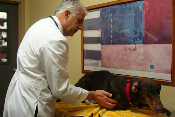 Boca Park Animal Hospital - Las Vegas , United States