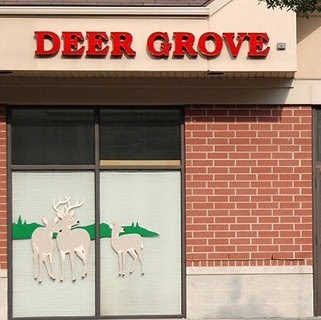 Deer Grove Animal Hospital - Palatine , United States