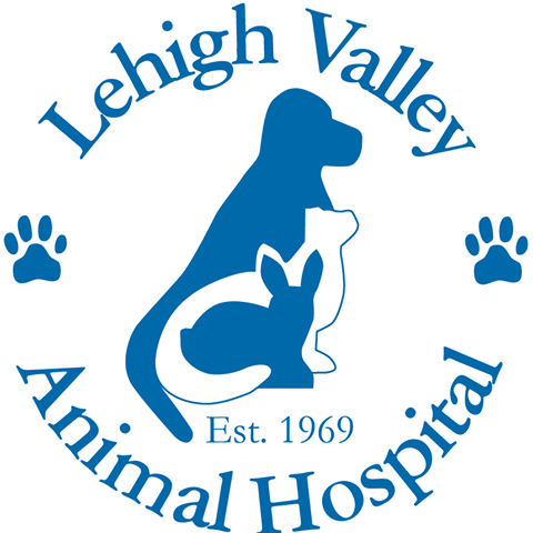 Lehigh Valley Animal Hospital - Bath , United States