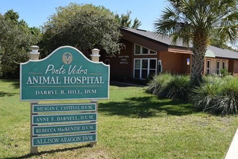 Vca Ponte Vedra Animal Hospital - Ponte Vedra Beach , United States