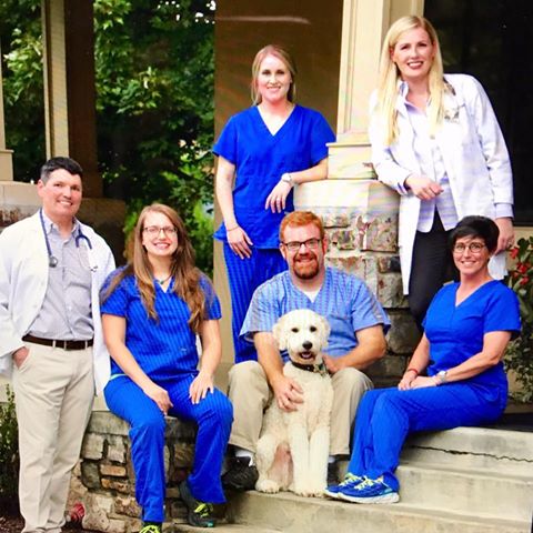 Pinnacle Valley Westrock Animal Hospital - Little Rock , United States