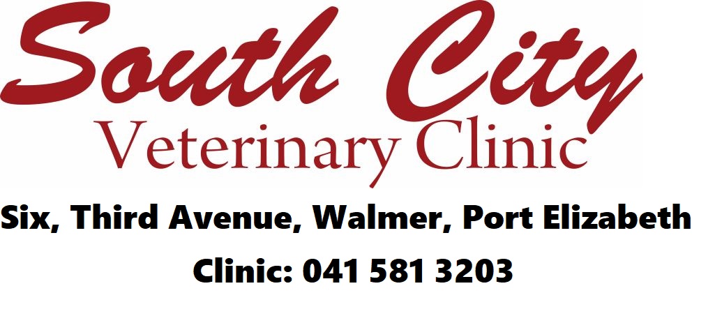 South City Veterinary Clinic - Port Elizabeth , South Africa