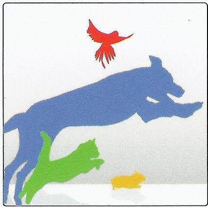 Blackrock Veterinary Clinic - Blackrock , Ireland