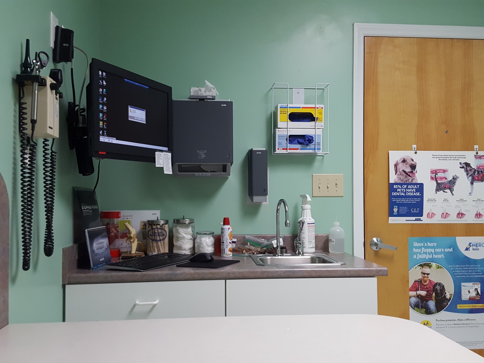 North Paw Animal Hospital - Durham , United States