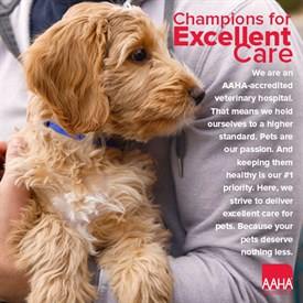 Animal Medical Center Copperas Cove - Copperas Cove , United States