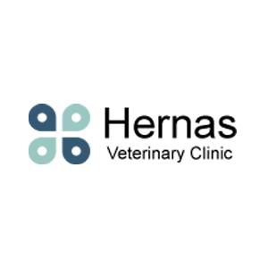 Hernas Veterinary Clinic - Schenectady , United States