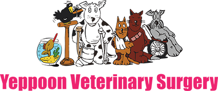 Yeppoon Veterinary Surgery - Yeppoon , Australia