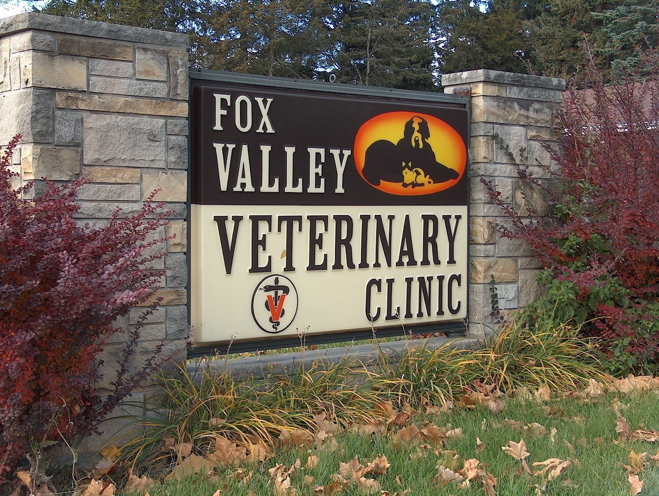 Fox Valley Veterinary Clinic - North Aurora , United States