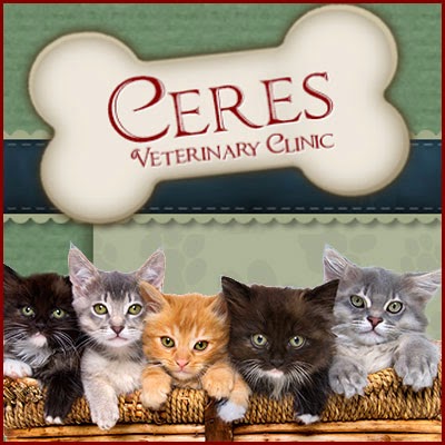 Ceres Veterinary Clinic - Ceres , United States
