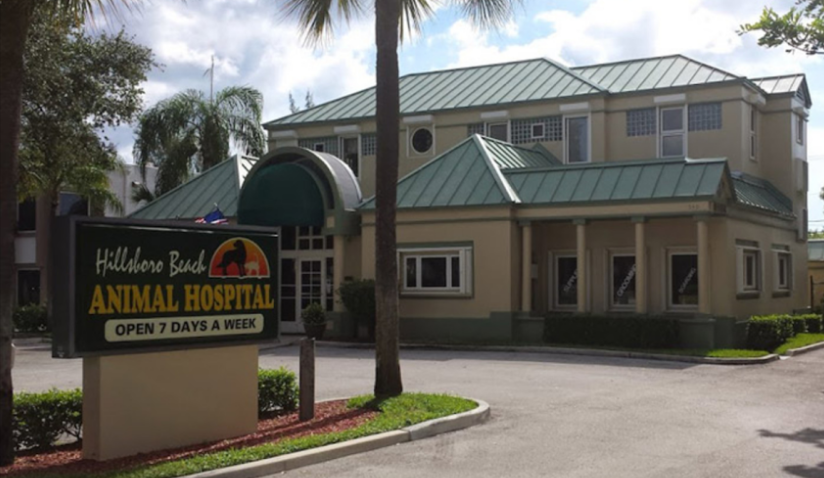 Hillsboro Beach Animal Hospital - Deerfield Beach , United States