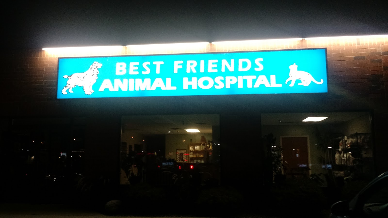 Best Friends Animal Hospital - Minneapolis , United States