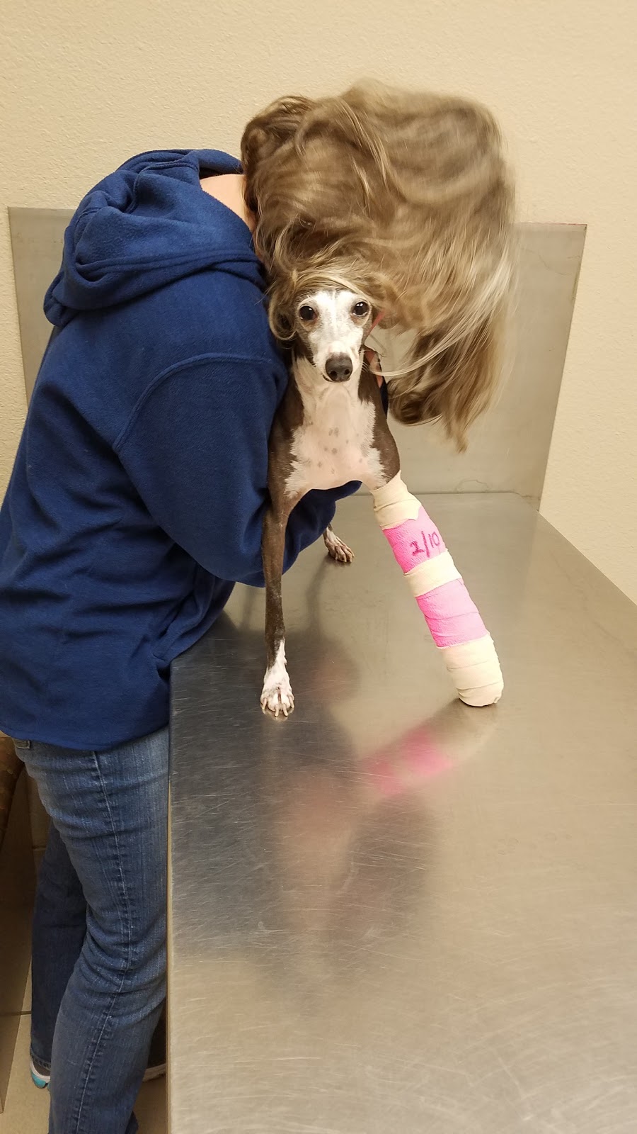 Ark Animal Hospital - Millbrook , United States