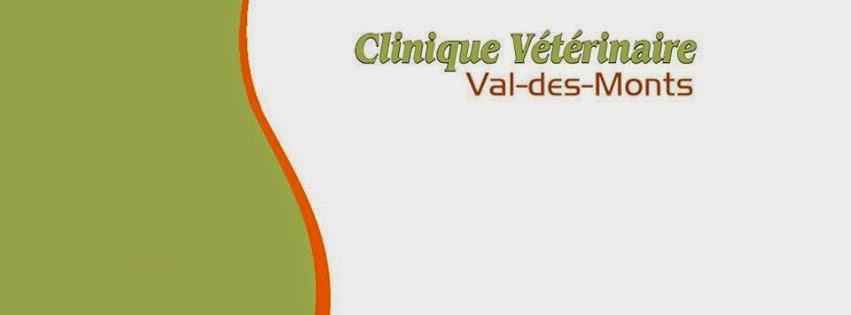 Clinique Vétérinaire Val Des Monts - Val-des-Monts , Canada