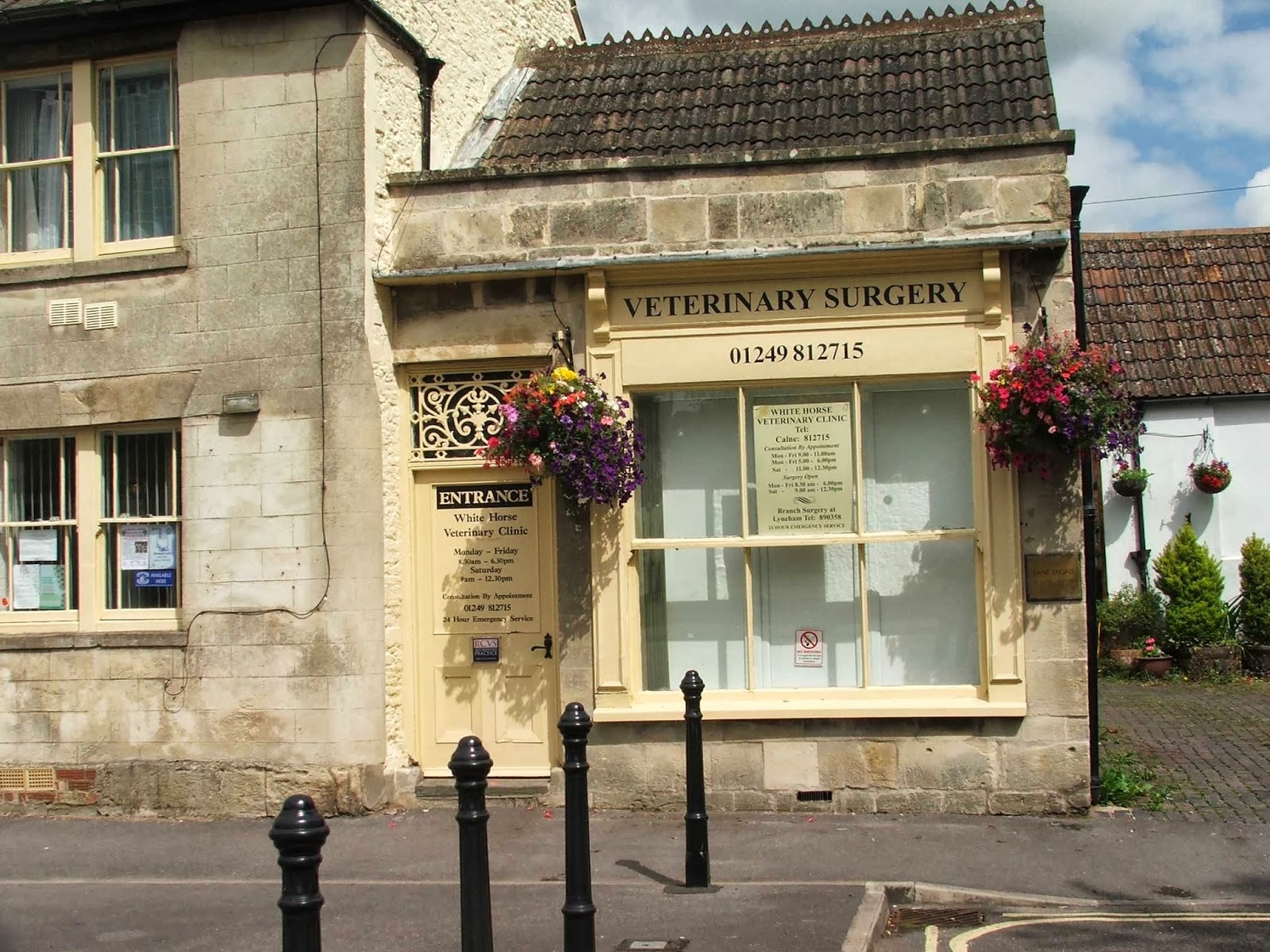 White Horse Veterinary Clinic Calne - Calne , United Kingdom